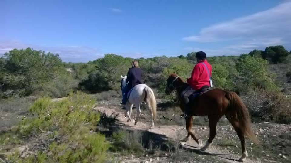 Pony-paard rijden